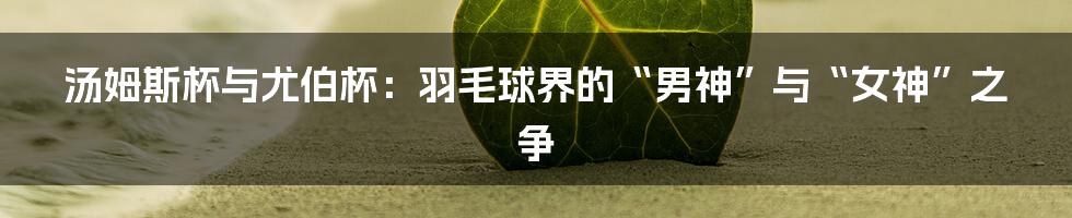 汤姆斯杯与尤伯杯：羽毛球界的“男神”与“女神”之争