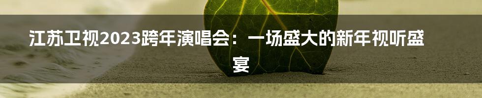 江苏卫视2023跨年演唱会:一场盛大的新年视听盛宴