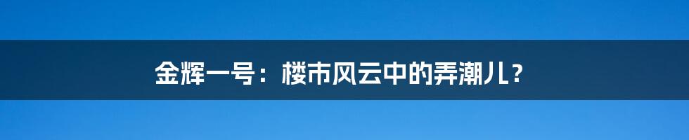 金辉一号:楼市风云中的弄潮儿?