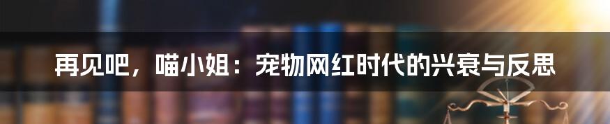 再见吧，喵小姐：宠物网红时代的兴衰与反思
