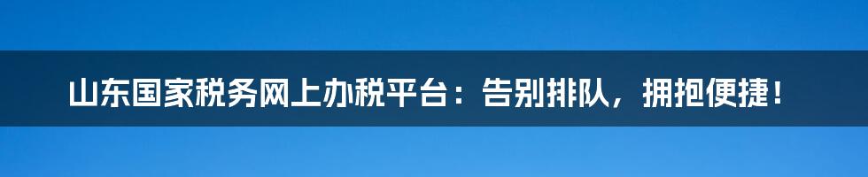 山东国家税务网上办税平台:告别排队,拥抱便捷!