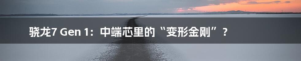 骁龙7 Gen 1：中端芯里的“变形金刚”？