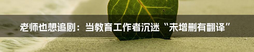 老师也想追剧：当教育工作者沉迷“未增删有翻译”