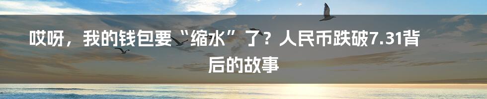 哎呀,我的钱包要“缩水”了?人民币跌破7.31背后的故事