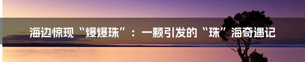 海边惊现“爆爆珠”：一颗引发的“珠”海奇遇记