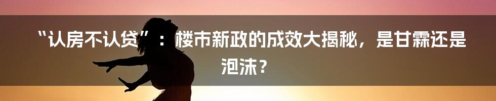 “认房不认贷”:楼市新政的成效大揭秘,是甘霖还是泡沫?