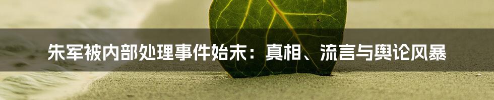 朱军被内部处理事件始末：真相、流言与舆论风暴