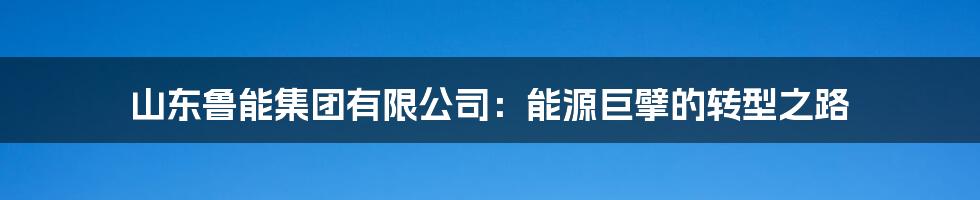 山东鲁能集团有限公司：能源巨擘的转型之路