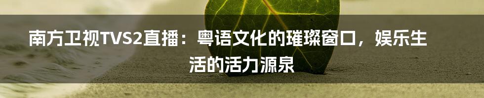 南方卫视TVS2直播：粤语文化的璀璨窗口，娱乐生活的活力源泉