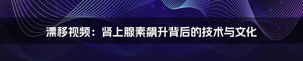 漂移视频:肾上腺素飙升背后的技术与文化