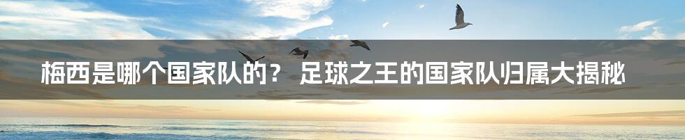 梅西是哪个国家队的? 足球之王的国家队归属大揭秘