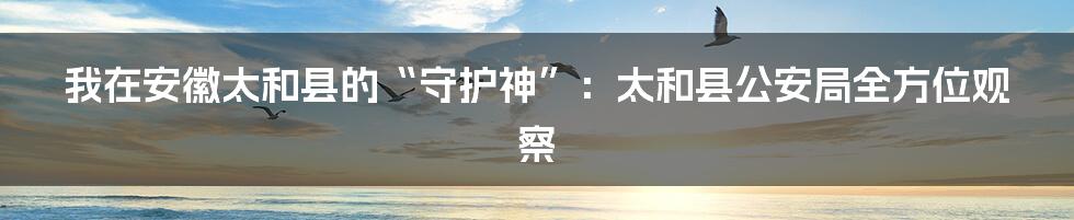 我在安徽太和县的“守护神”：太和县公安局全方位观察
