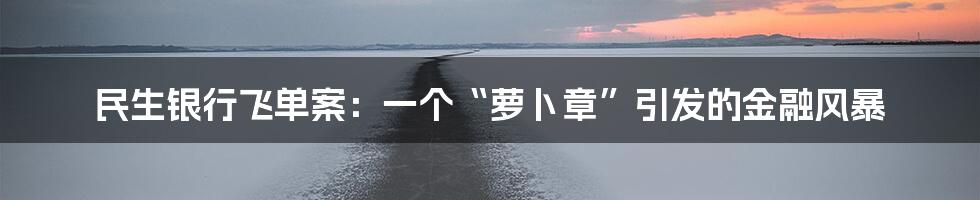 民生银行飞单案:一个“萝卜章”引发的金融风暴
