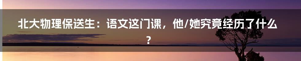 北大物理保送生:语文这门课,他/她究竟经历了什么?