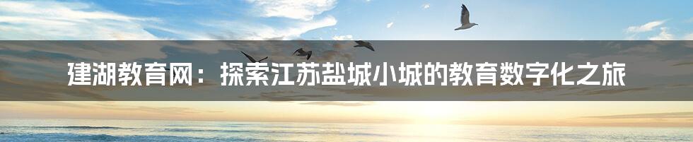 建湖教育网：探索江苏盐城小城的教育数字化之旅