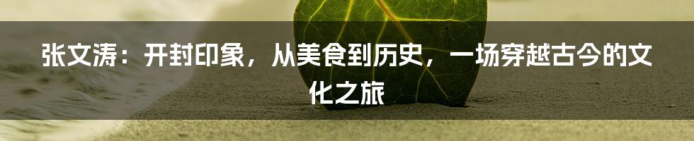 张文涛：开封印象，从美食到历史，一场穿越古今的文化之旅