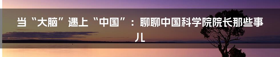 当“大脑”遇上“中国”：聊聊中国科学院院长那些事儿