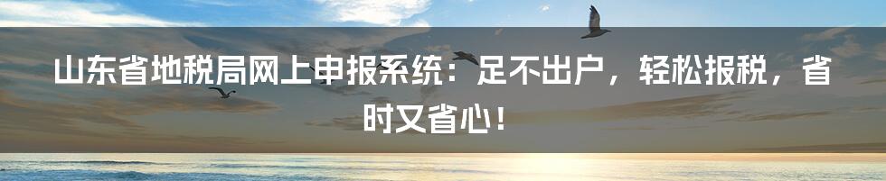 山东省地税局网上申报系统:足不出户,轻松报税,省时又省心!