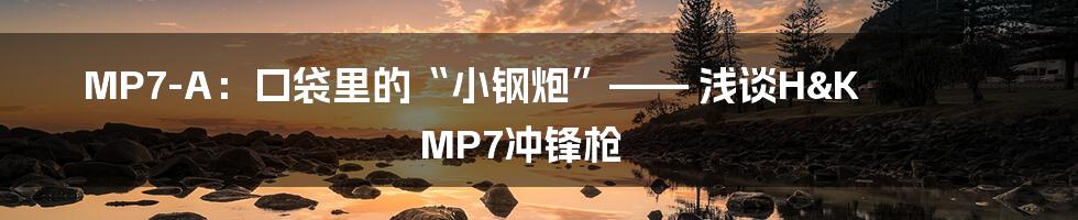 MP7-A：口袋里的“小钢炮”—— 浅谈H&K MP7冲锋枪