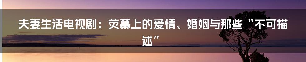 夫妻生活电视剧:荧幕上的爱情、婚姻与那些“不可描述”