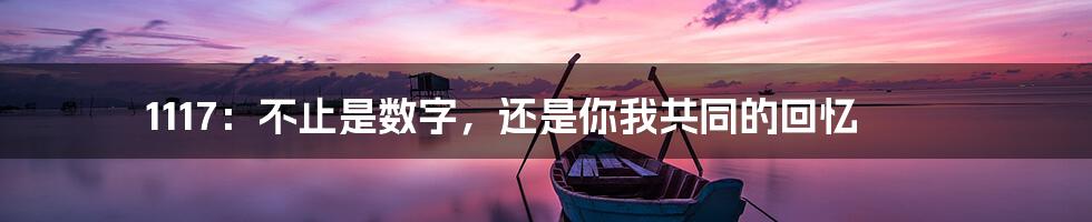 1117：不止是数字，还是你我共同的回忆
