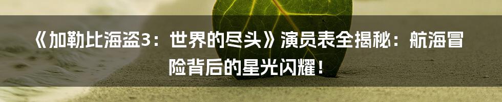 《加勒比海盗3：世界的尽头》演员表全揭秘：航海冒险背后的星光闪耀！