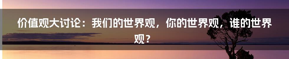 价值观大讨论:我们的世界观,你的世界观,谁的世界观?