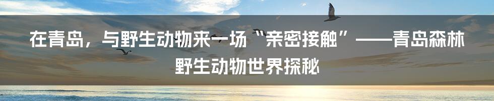 在青岛，与野生动物来一场“亲密接触”——青岛森林野生动物世界探秘