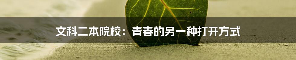 文科二本院校：青春的另一种打开方式