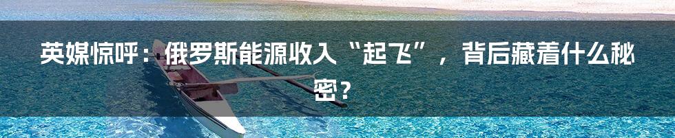 英媒惊呼:俄罗斯能源收入“起飞”,背后藏着什么秘密?