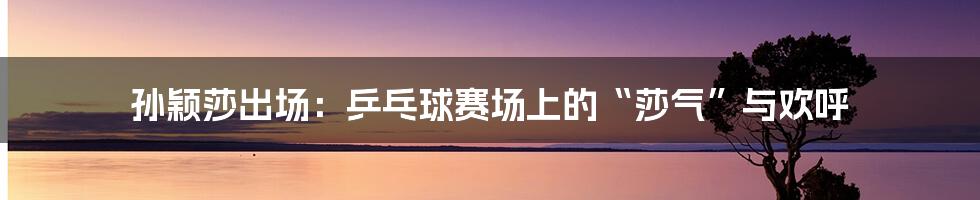 孙颖莎出场：乒乓球赛场上的“莎气”与欢呼