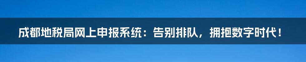 成都地税局网上申报系统：告别排队，拥抱数字时代！