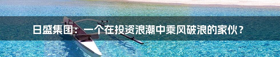 日盛集团：一个在投资浪潮中乘风破浪的家伙？