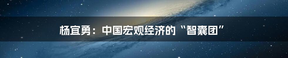 杨宜勇:中国宏观经济的“智囊团”