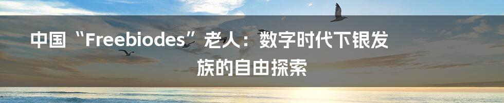 中国“Freebiodes”老人：数字时代下银发族的自由探索
