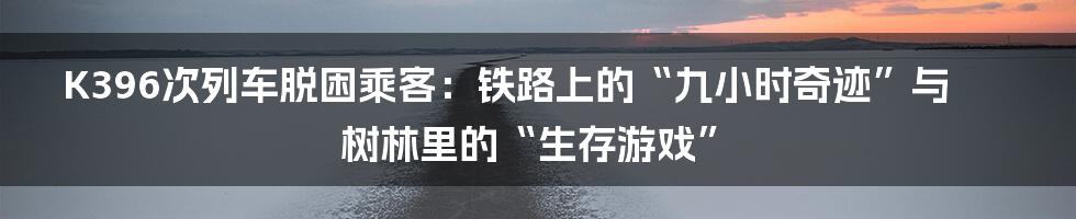 K396次列车脱困乘客:铁路上的“九小时奇迹”与树林里的“生存游戏”