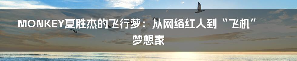 MONKEY夏胜杰的飞行梦：从网络红人到“飞机”梦想家