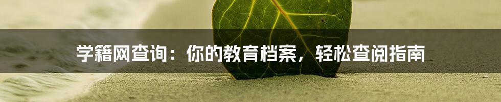 学籍网查询：你的教育档案，轻松查阅指南