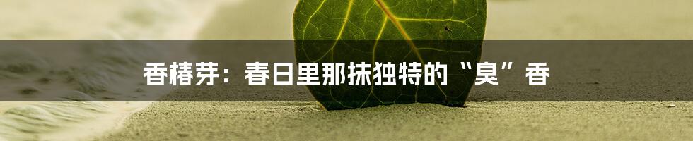 香椿芽：春日里那抹独特的“臭”香