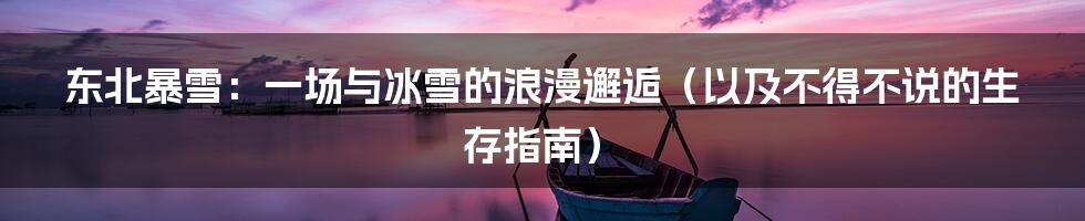东北暴雪：一场与冰雪的浪漫邂逅（以及不得不说的生存指南）