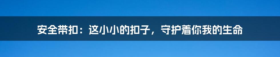 安全带扣:这小小的扣子,守护着你我的生命