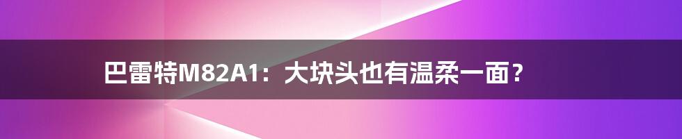 巴雷特M82A1:大块头也有温柔一面?