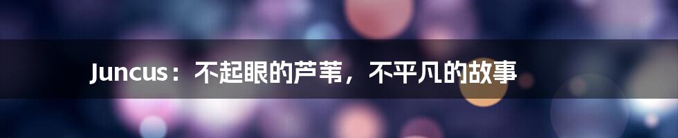 Juncus：不起眼的芦苇，不平凡的故事