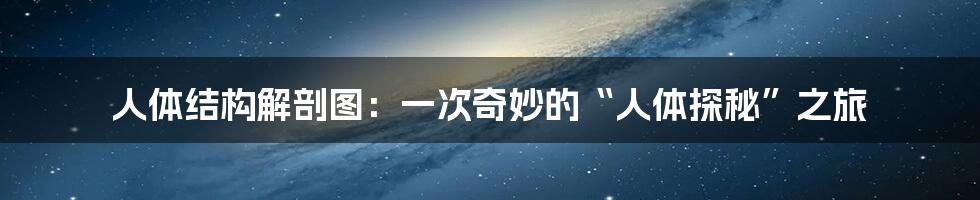 人体结构解剖图：一次奇妙的“人体探秘”之旅