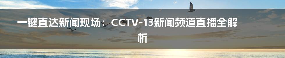 一键直达新闻现场：CCTV-13新闻频道直播全解析