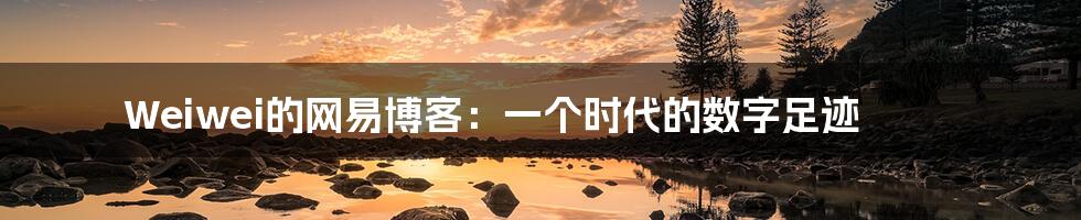 Weiwei的网易博客：一个时代的数字足迹