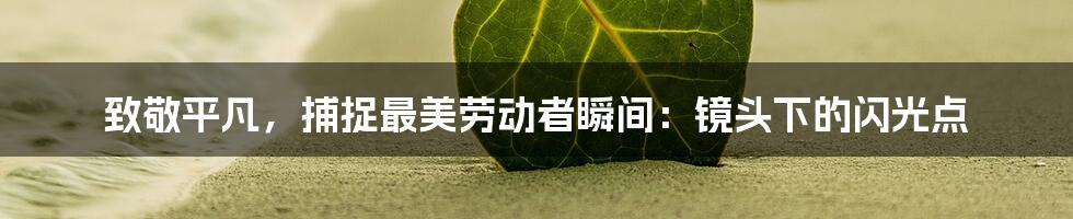 致敬平凡，捕捉最美劳动者瞬间：镜头下的闪光点