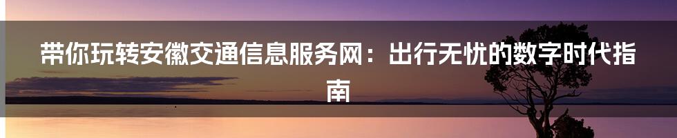 带你玩转安徽交通信息服务网:出行无忧的数字时代指南