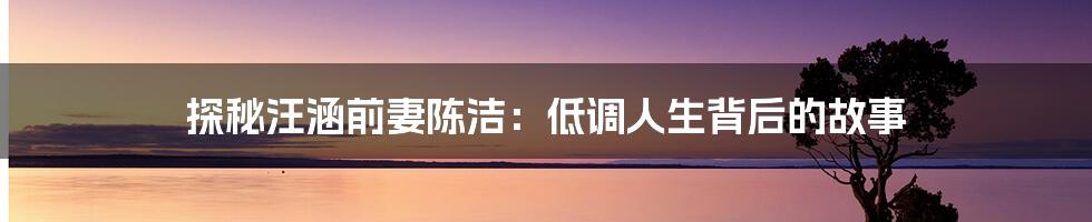 探秘汪涵前妻陈洁:低调人生背后的故事