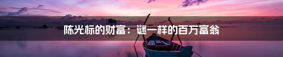 陈光标的财富：谜一样的百万富翁